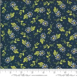 Happy Days Dainty Navy-37601-20