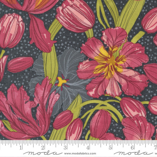 Tulip Tango-48710-14